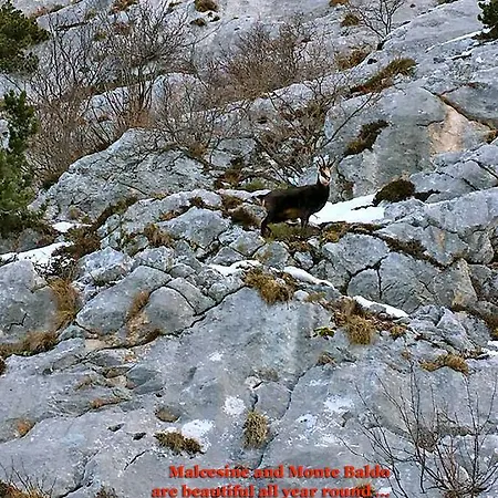 Antica Corte Malcesine