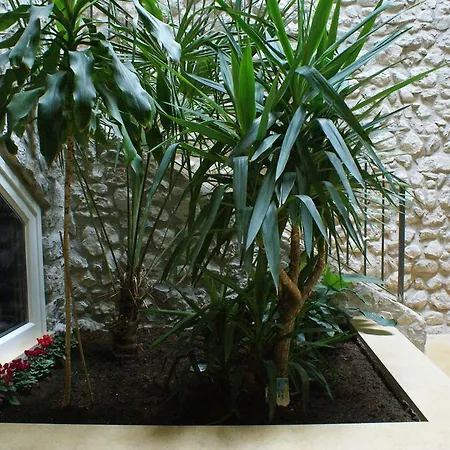 Bed and Breakfast Antica Corte *