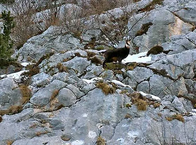 Antica Corte Malcesine