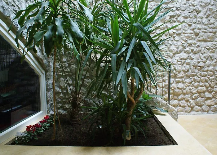 Bed and breakfast Antica Corte *